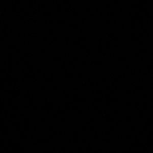 Meet your Posher, Ashlyn